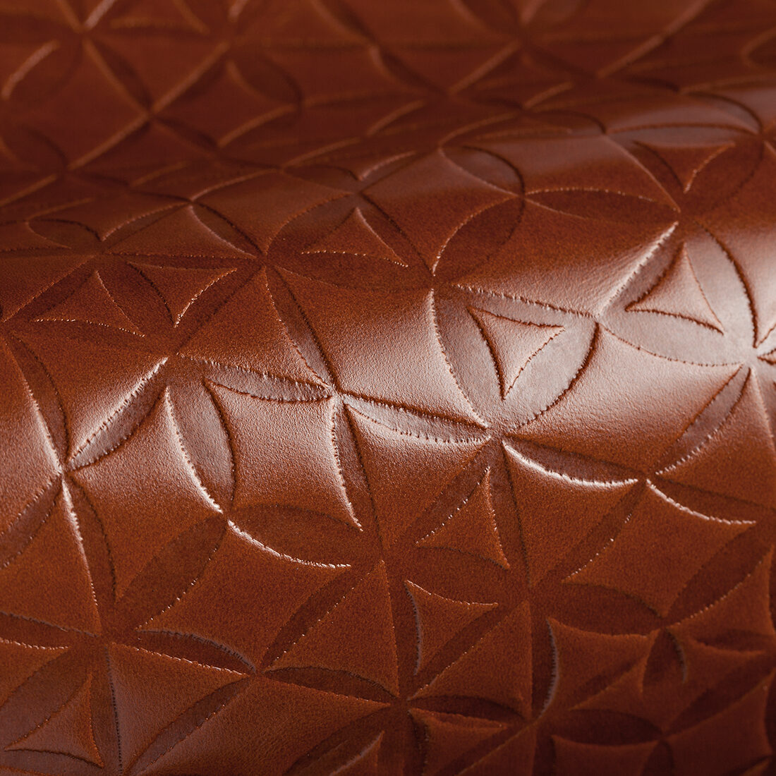 Header-1198x1141-Kaleidoscope-Honey-emboss